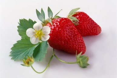 Liečebné účinky jahôd